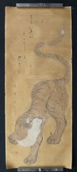 Neko-Tora Gogaian 1700