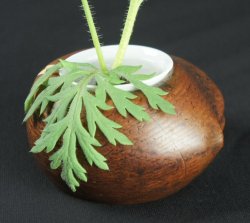 Momo Kenzan 1900