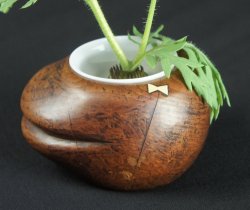 Momo Kenzan 1900