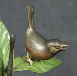 Suzume sparrow 1970