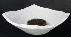 Shigaraki kiln 1980