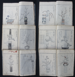 Ikebana Edo book 1770