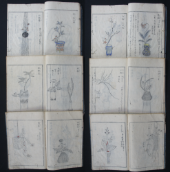 Ikebana Edo book 1770