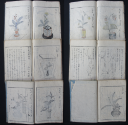 Ikebana Edo book 1770