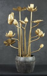 Hasu temple lotus 1923