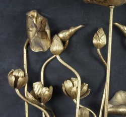 Hasu temple lotus 1923