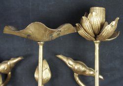 Hasu temple lotus 1923