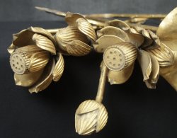 Hasu temple lotus 1923