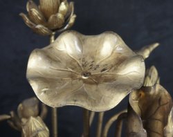 Hasu temple lotus 1923