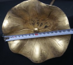 Hasu temple lotus 1923