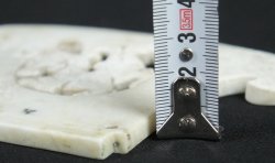China stone 1900