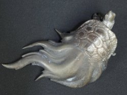 Kame water turtle 1950
