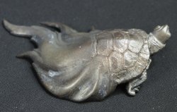 Kame water turtle 1950