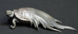 Kame water turtle 1950