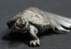 Kame water turtle 1950