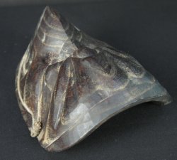 Karasutengu Demon 1900
