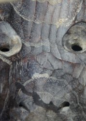 Karasutengu Demon 1900
