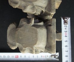 Lion/dog Shishi temple 1800