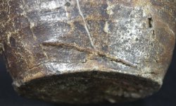 Muromachi Bizen 1600