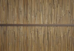 Wa-Shitsu architecture 1950