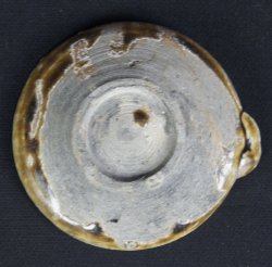 Hyosoku Edo wick 1700