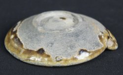 Hyosoku Edo wick 1700