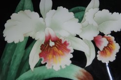 Enamel Shippo 1970