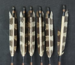 Antique quiver and Ya 1880