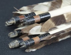 Antique quiver and Ya 1880