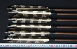 Antique quiver and Ya 1880