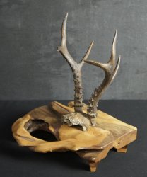 Katana-kake 1950 craft