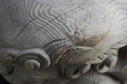 Rural mountain Shishi 1800