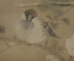 Takeuchi Seihō sparrow 1900