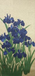 Gold IRIS 1980