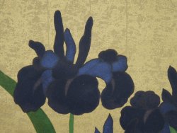 Gold IRIS 1980
