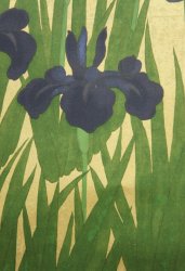Gold IRIS 1980