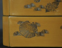 Jyubako sea shells 1900