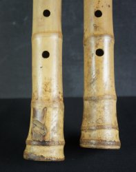 Shakuhachi mountain 1900