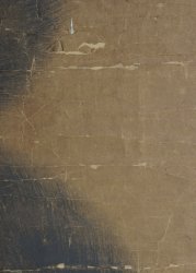 Sakaedo Tora 1700