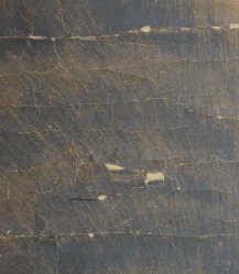 Sakaedo Tora 1700