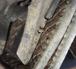 Antique saddle 1800