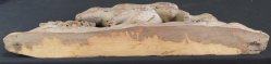 Antique temple Ushi 1800