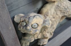 Fu dog Shishi lion 1800