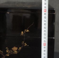 Bento Jyubako 1900 Ume