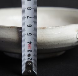 Abstract Animal 1970