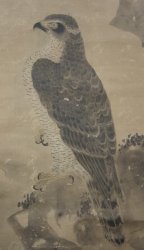 Fujinyorō falcon 1760 Edo