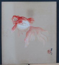 Suzume birds 1900