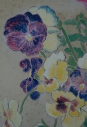 Japanese Sumire 1900