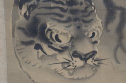 Neko Tora tiger 1800s