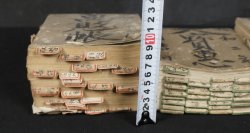 Japan manuscript 1900
